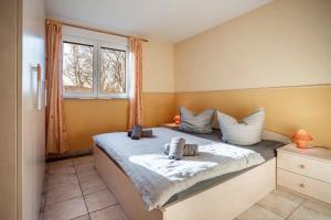 a bedroom with a bed and a window at Schwalbennest in Buschvitz