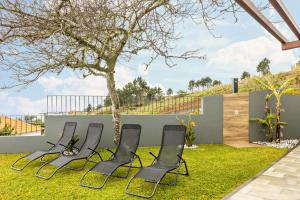 a row of chairs in a yard with a tree at Referta Apartamento T2 in Prazeres