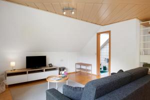 a living room with a couch and a tv at Ferienwohnung Glashütte in Sankt Märgen