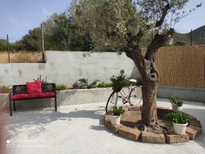 a bike parked next to a tree and a bench at Villetta farfalle in Sarroch