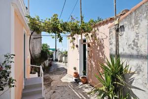 an alley with plants and stairs in a building at Villa Drosia in Volímai