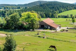 a horse grazing in a field in front of a barn at Fewo S22 in Regen
