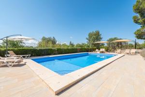 a swimming pool with chairs and umbrellas in a backyard at Els Garroverets in Binissalem
