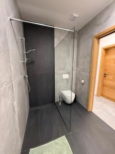 a bathroom with a shower with a toilet in it at Apartment Moné - Kope in Slovenj Gradec +15 photos