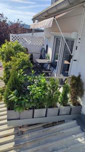a porch with potted plants on a house at B und E Röck in Meckenbeuren
