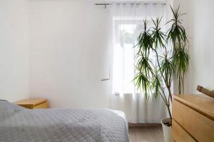 ein Schlafzimmer mit einem Bett und zwei Pflanzen vor einem Fenster in der Unterkunft Renner in Daisendorf