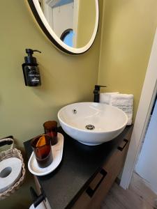 a bathroom with a sink and a mirror at Hausboot mit Motorboot in Heiligenhafen