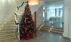 صورة لـ Xenia Hotel في ناكسوس تشورا