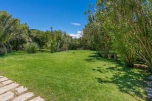 a park with green grass and trees on a sunny day at Villa Rosa in Porto Rotondo