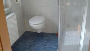 a bathroom with a toilet and a blue tile floor at Ferienwohnung Schmidt in Krummhörn