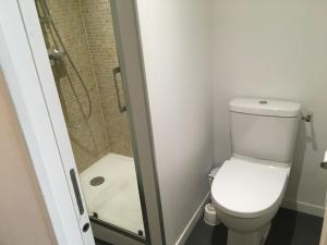 a small bathroom with a toilet and a shower at Maison St Ringo cozy apartment in Lyon