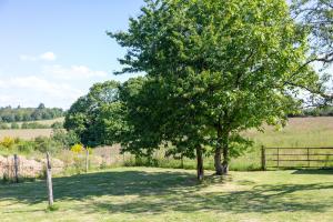a tree in a field next to a fence at Maison de vacances Chez André in Meslan