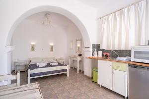 a small room with a bed and a kitchen at Green Retreats 2 Paros in Isterni