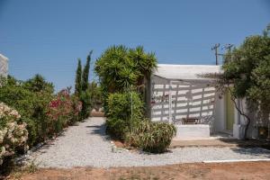 a garden with a house with plants and trees at Green Retreats 2 Paros in Isterni +12 photos