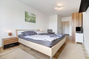 ein Schlafzimmer mit einem großen Bett und einem Fernseher in der Unterkunft Rode in Faßberg