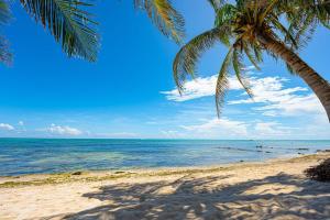 a palm tree on a beach with the ocean at Oceanfront home with beach access pool balconies & waterfront hammocks - Villa Sol in Tulum