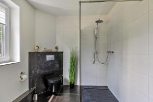 a bathroom with a shower stall and a toilet at Föhr in Galmsbüll +12 photos