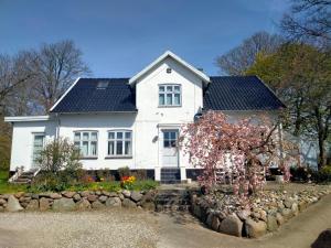 a white house with a tree in front of it at Hyllemose Guesthouse in Lille Skensved