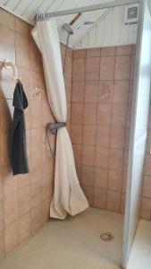 a shower in a bathroom with a shower curtain at Hyllemose Guesthouse in Lille Skensved