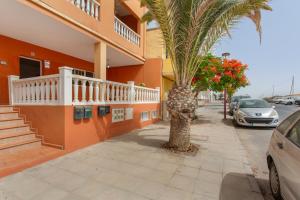 a palm tree on a sidewalk next to a building at Atlantic Nomad Retreat in Puerto del Rosario