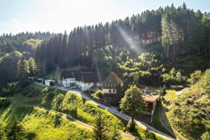 an aerial view of a house on a hill at Brumichelhof in Bad Peterstal-Griesbach