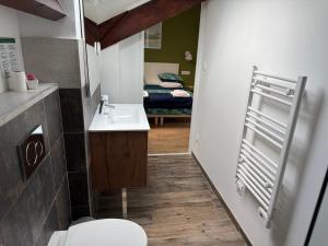 a small bathroom with a toilet and a sink at Lyon Mon Amour Bed and Breakfast in Lyon +35 photos