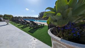 a row of lounge chairs next to a swimming pool at Apartamento Bali com Piscina in Apúlia