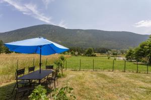 a table and chairs with an umbrella in a field at Appart Authentique et Confortable in Valderoure