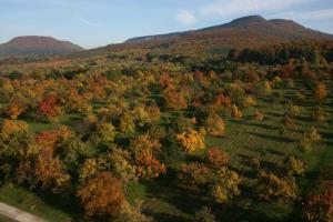 an aerial view of a field with trees and mountains at Ferienwohnungen beim Imker in Mössingen +50 photos