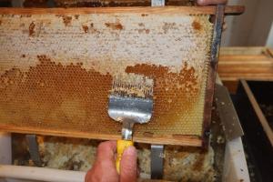 a person is holding a tool in a beehive at Ferienwohnungen beim Imker in Mössingen
