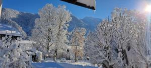 a group of trees covered in snow with mountains in the background at Haus am Kurgarten - Seeberg in Bayrischzell