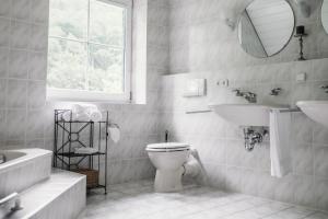 a bathroom with a toilet and a sink and a mirror at Landhaus Elbenberg in Naumburg