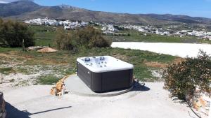 Gallery image of Ktima San Antonio Paros - Parion in Piso Livadi