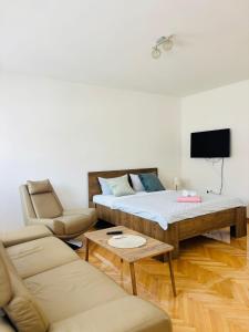 a room with a bed and a couch and a tv at Apartment Oak Root in Mostar
