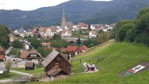 a group of people standing on a hill in a village at Ferienwohnung Pusteblume in Forbach +22 photos