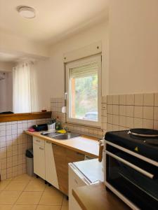 a kitchen with a sink and a window at Apartment Oak Root in Mostar