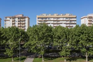 a group of trees in front of two buildings at Jardín X in Gandía