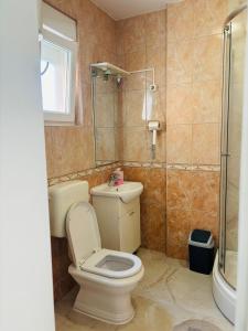 a bathroom with a toilet and a shower at Apartment Oak Root in Mostar +11 photos