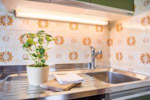 a kitchen with a sink and a potted plant at Ferienwohnung 3 Vikoler in Vols am Schlern