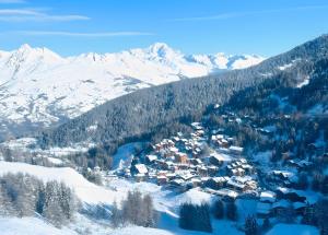 an aerial view of a village in the snow at Appartement Soldanelle in La Plagne Tarentaise