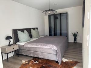 a bedroom with a bed and a pendant light at Moderne Ferienwohnung Ravensburg in Ravensburg