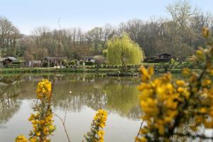 a view of a pond with yellow flowers in the foreground at Chalet Sein Dans Parc Résidentiel in Pléneuf-Val-André