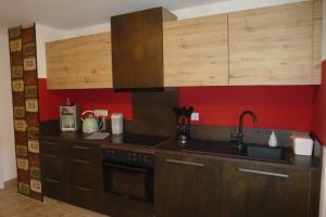 a kitchen with wooden cabinets and a sink at Ferienwohnung Pusteblume in Forbach