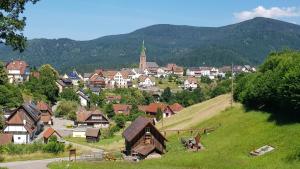 a small town with houses on a hill at Ferienwohnung Pusteblume in Forbach