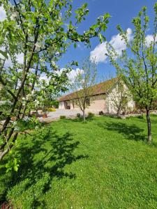 a yard with trees in front of a house at Szilvaliget Vendégház in Tolcsva