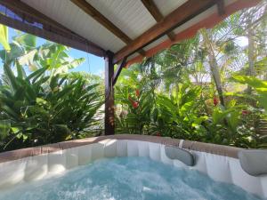 a hot tub in a room with trees and plants at Gîte KAZ' A TYKA jacuzzi privatif in Saint-François +11 photos