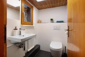 a bathroom with a sink and a toilet at Black Forest Woods in Bernau im Schwarzwald +29 photos