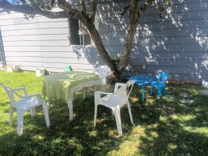 a group of chairs and tables in front of a tree at Kaalvoet Kaia in Stilbaai-Oos
