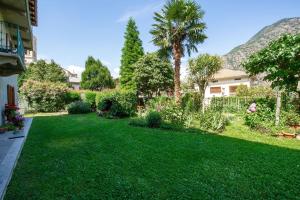 a yard with green grass and a palm tree at Il Pellegrino in Issogne +8 photos