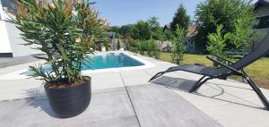 a chair and a potted plant next to a pool at Fewo Harzblick Goslar mit Pool in Goslar